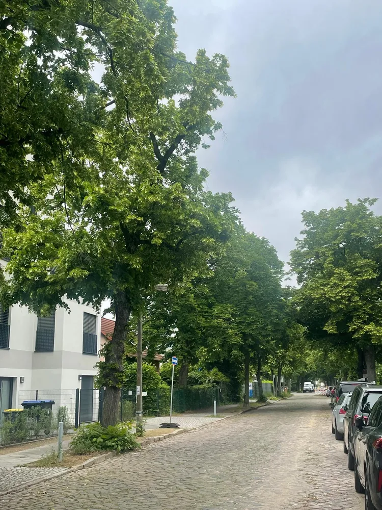 3 Zimmer Wohnung mit 82 m² in Berlin – Bild 5