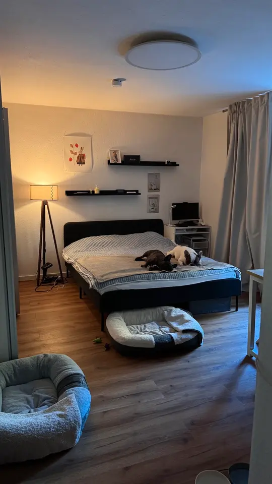 Studio mit 47 m² in Kelheim – Bild 7
