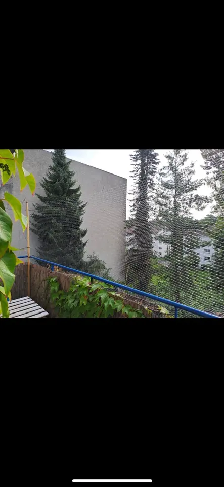 WG-Zimmer mit 65 m² in Kassel – Bild 6