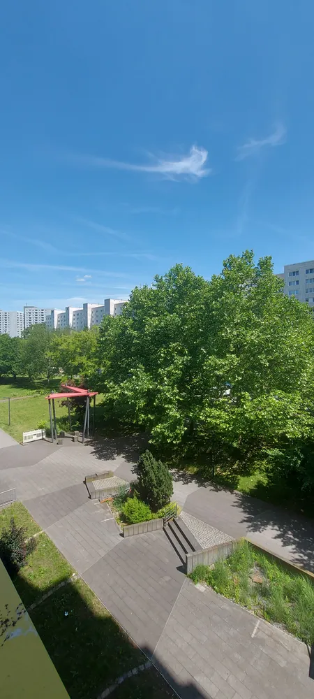 3 Zimmer Wohnung mit 80 m² in Dresden – Bild 3