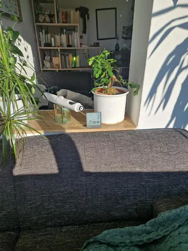 WG-Zimmer mit 20 m² in Leipzig – Bild 3