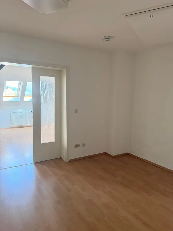 1 Zimmer Wohnung mit 55 m² in Dresden – Bild 1