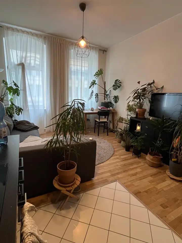2 Zimmer Wohnung mit 42 m² in Dresden – Bild 1