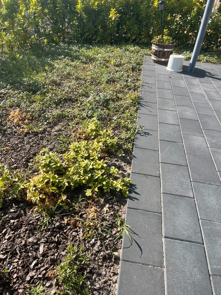 2 Zimmer Wohnung mit 65 m² in Emsdetten – Bild 4