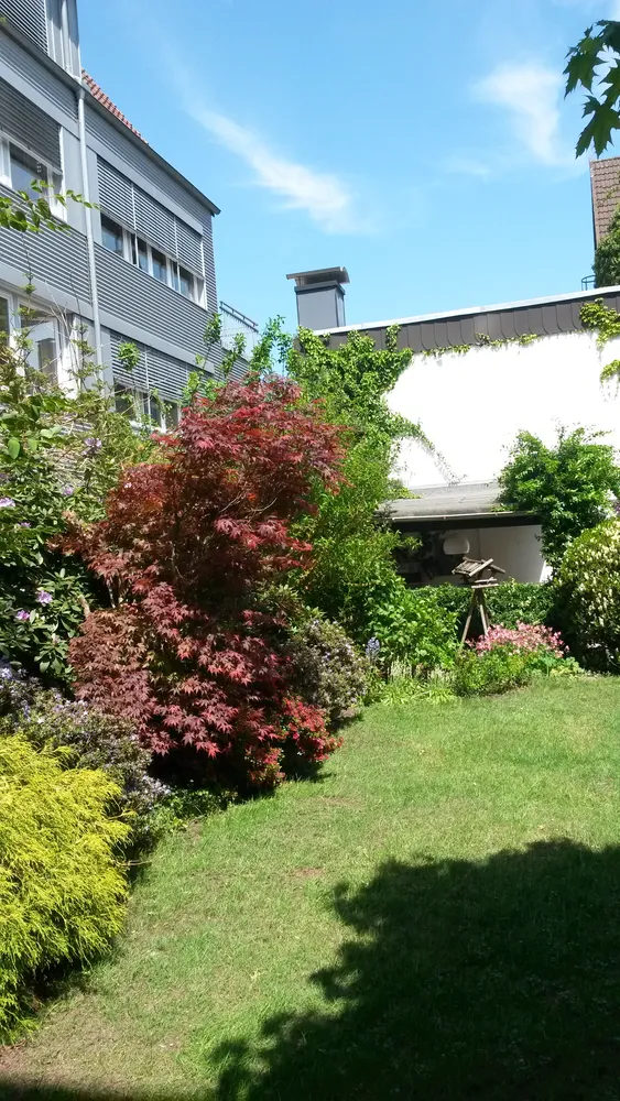 1 room apartment with 20 m² in Bielefeld – Photo 9