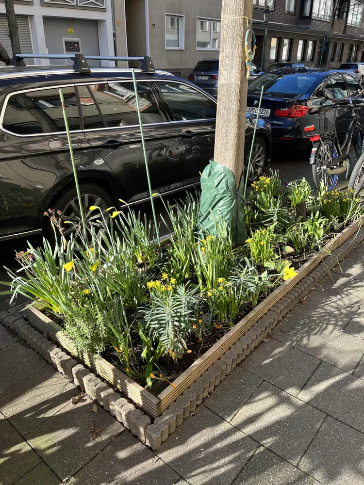 2 Zimmer Wohnung mit 48 m² in Düsseldorf – Bild 1