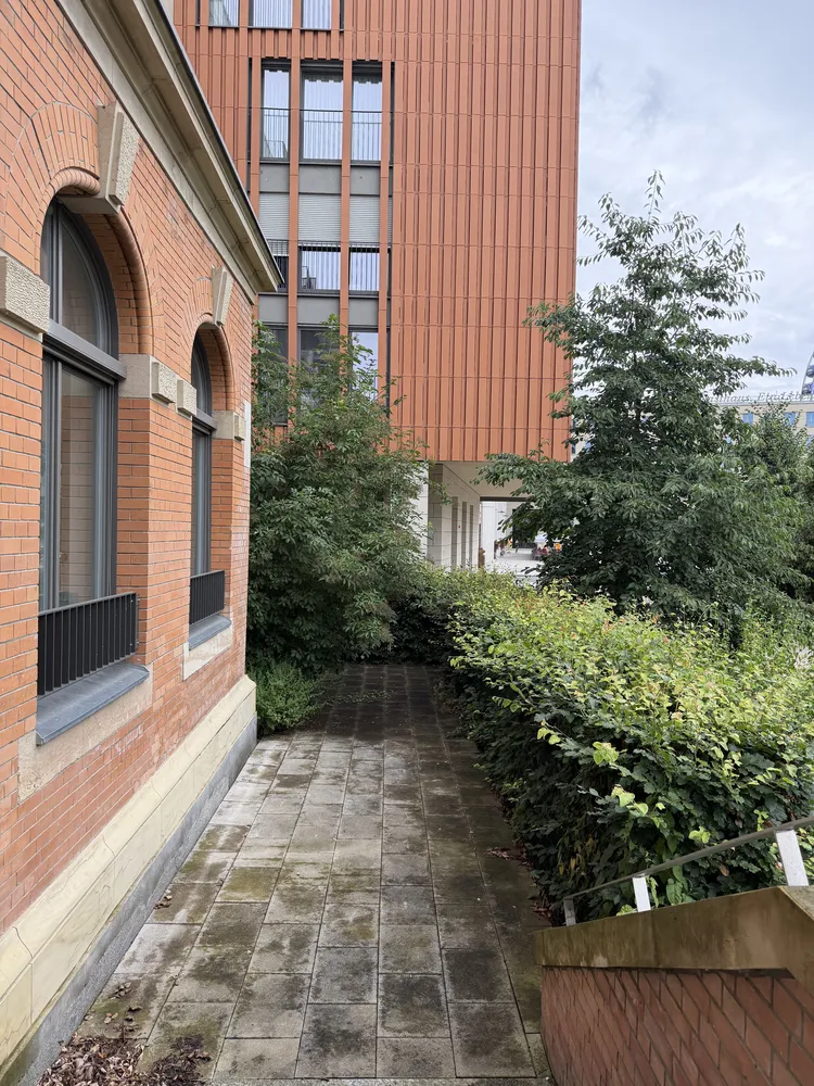 4 Zimmer Wohnung mit 111 m² in Dresden – Bild 4