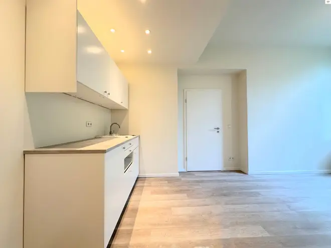 2 Zimmer Wohnung mit 33 m² in Dresden – Bild 3