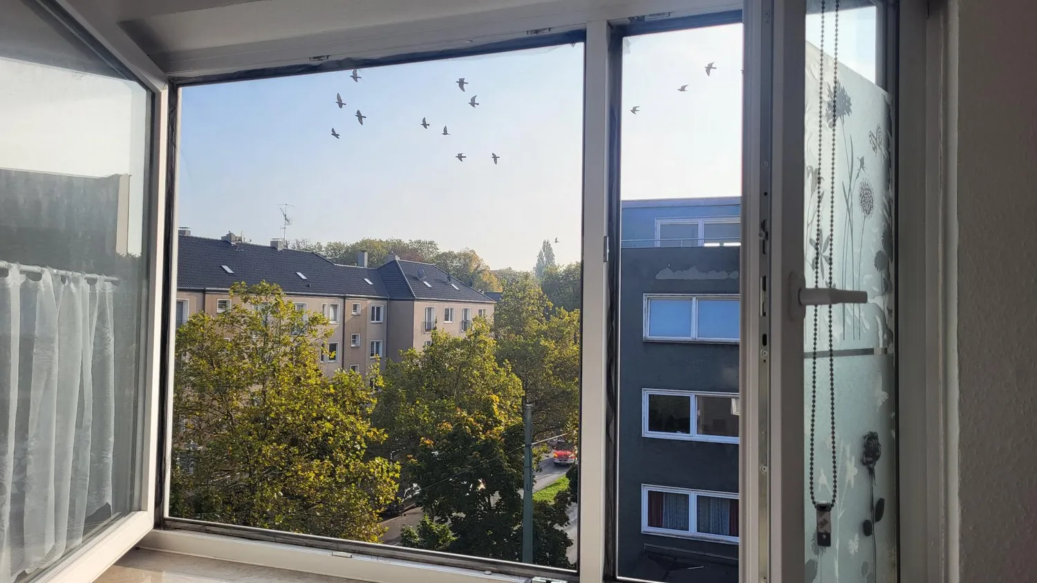 1 Zimmer Wohnung mit 28 m² in Bochum – Bild 4