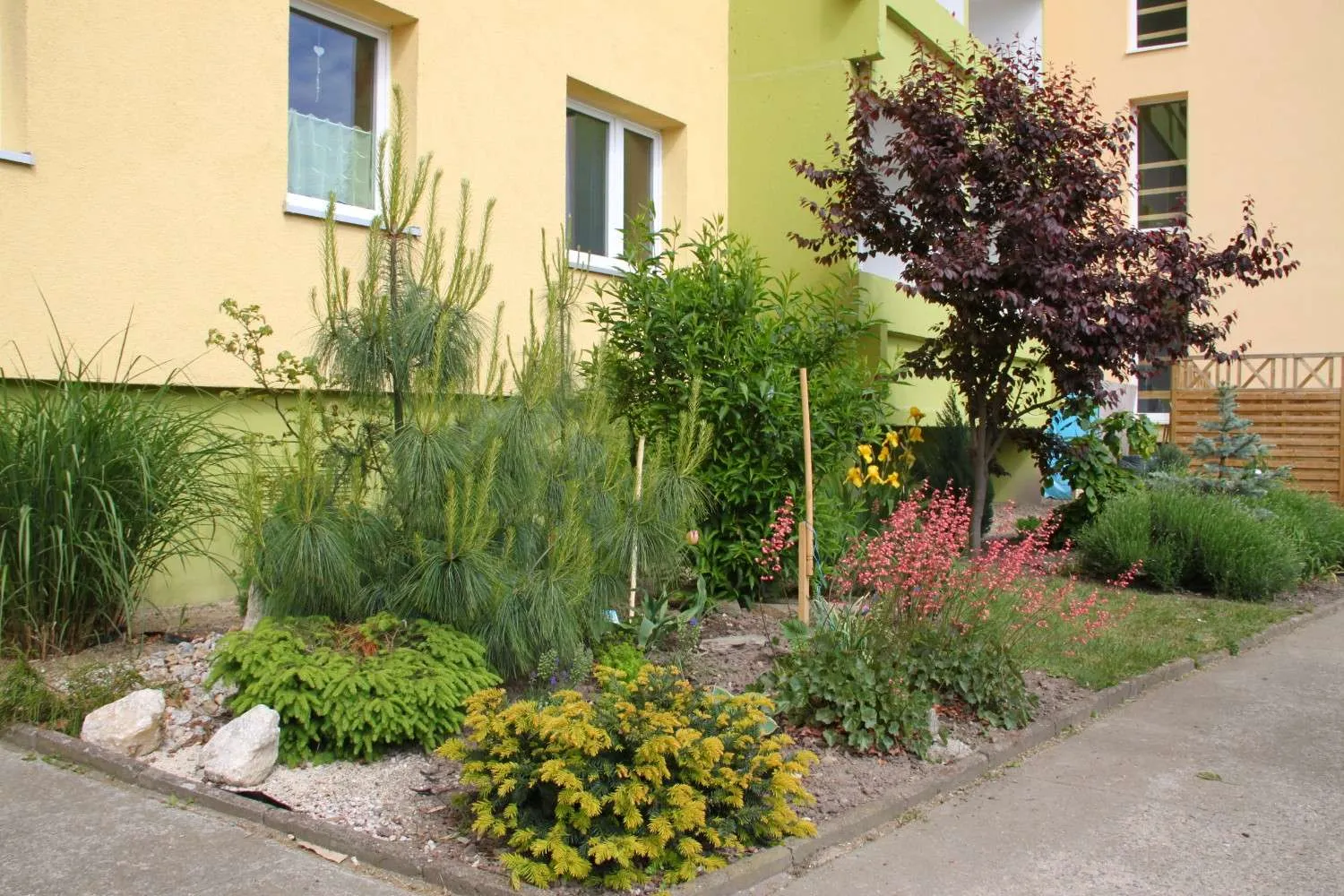 2 Zimmer Wohnung mit 45 m² in Halle (Saale) – Bild 3