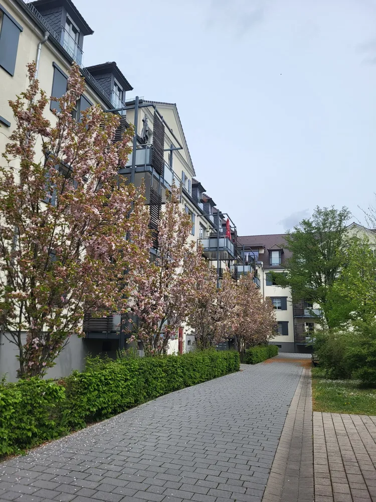 2 Zimmer Wohnung mit 49 m² in Ludwigshafen am Rhein – Bild 1