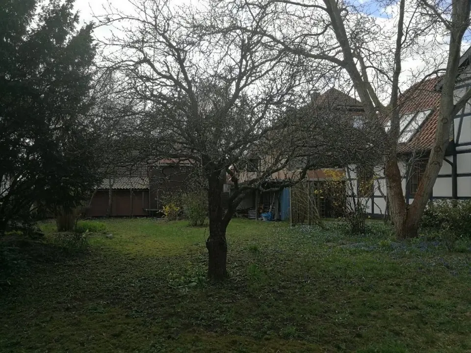 WG-Zimmer mit 200 m² in Braunschweig – Bild 8