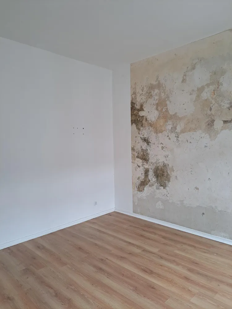 3 Zimmer Wohnung mit 65 m² in Krefeld – Bild 4