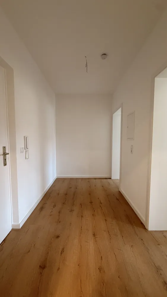 2 Zimmer Wohnung mit 49 m² in Mannheim – Bild 3
