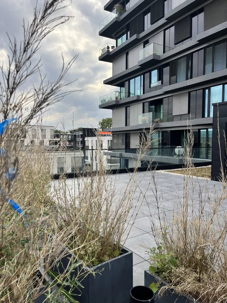 1 Zimmer Wohnung mit 38 m² in Berlin – Bild 5