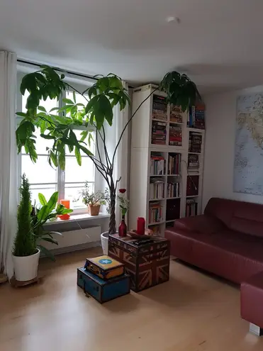 4 Zimmer Wohnung mit 113 m² in Essen – Bild 8