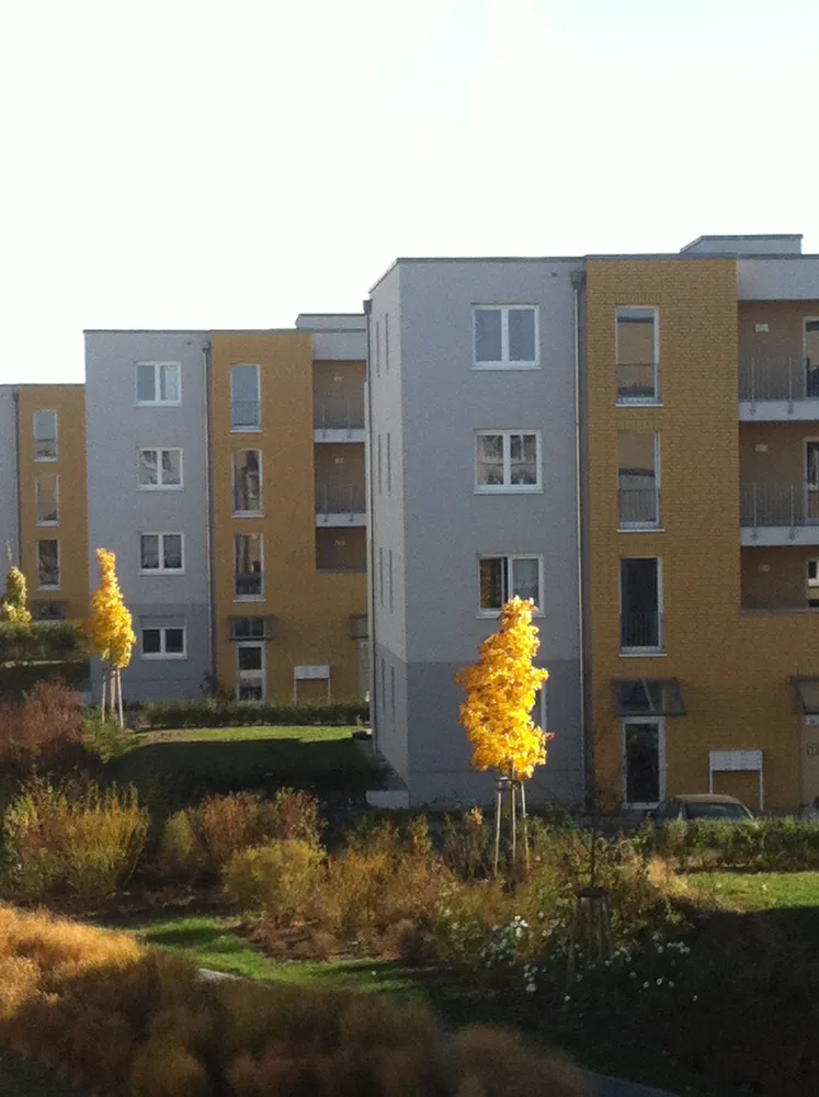 2 Zimmer Wohnung mit 52 m² in Potsdam – Bild 1