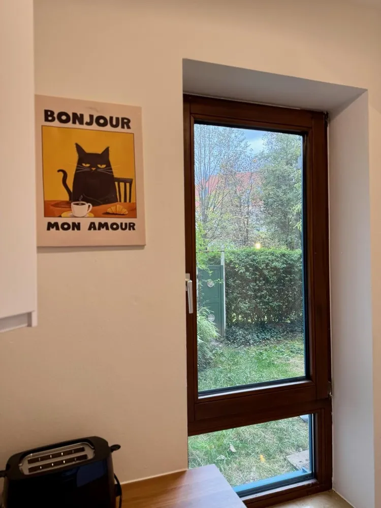1 room apartment with 32 m² in Augsburg – Photo 9