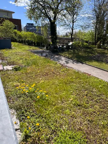3 Zimmer Wohnung mit 55 m² in Kiel – Bild 3