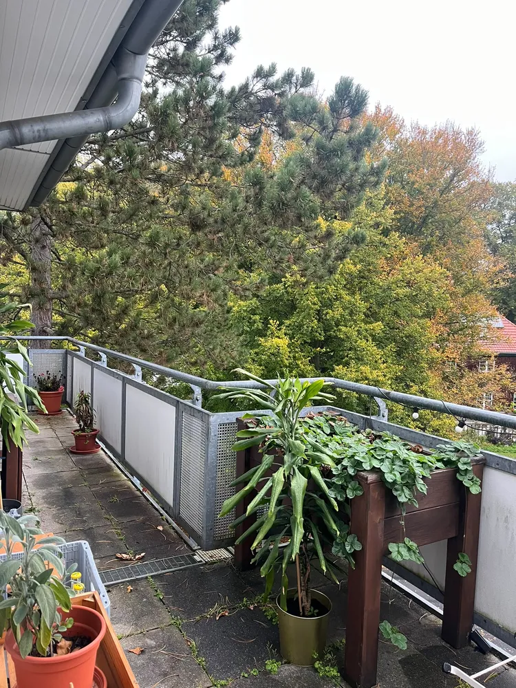3 room apartment with 97 m² in Dresden – Photo 10