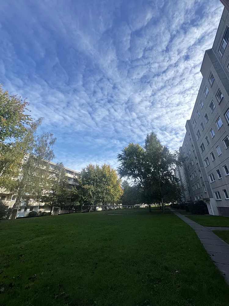 3 Zimmer Wohnung mit 64 m² in Dresden – Bild 2