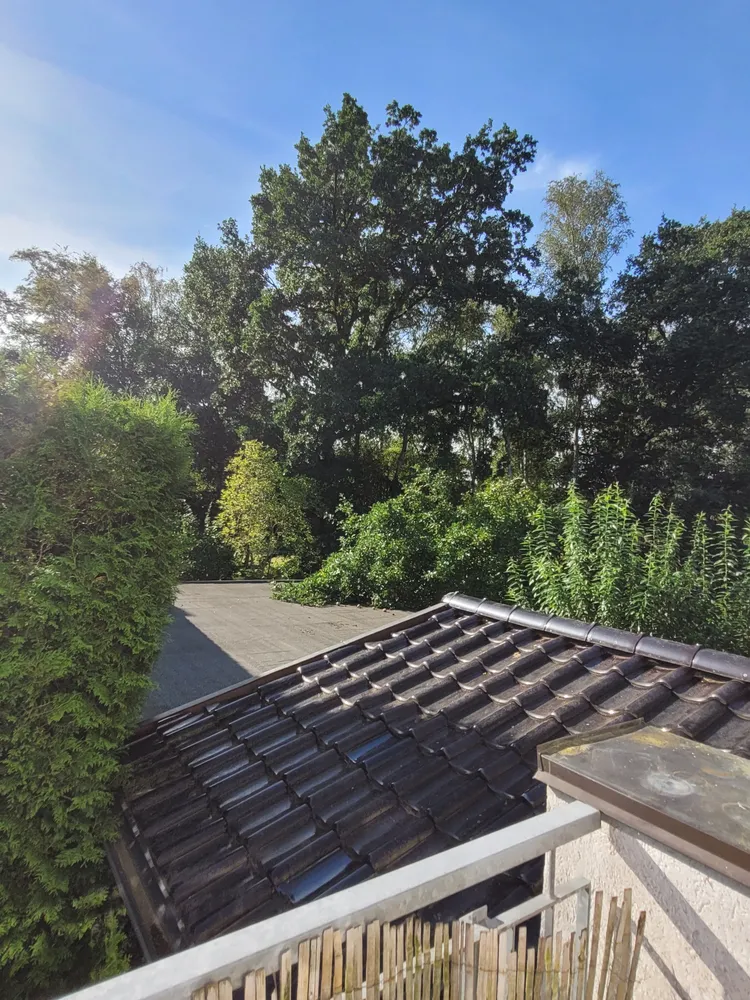 3 room apartment with 70 m² in Hamburg – Photo 3