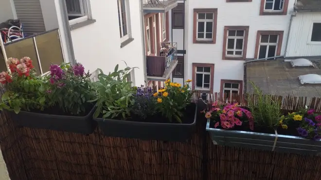2 Zimmer Wohnung mit 55 m² in Mannheim – Bild 9