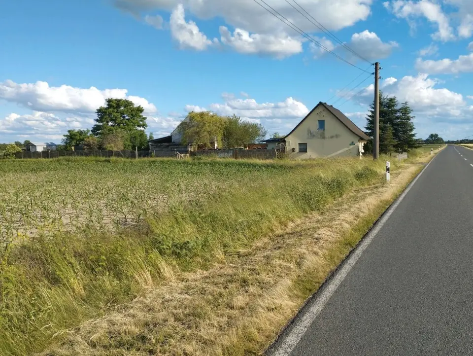 3 Zimmer Haus mit 85 m² in Bitterfeld-Wolfen – Bild 2