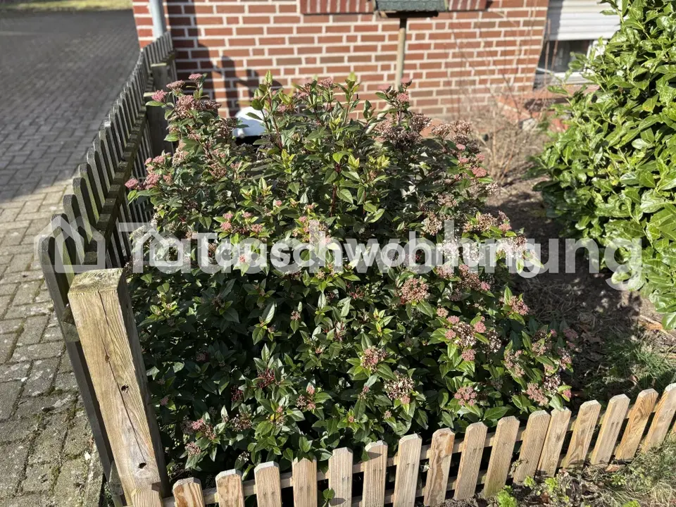 2 Zimmer Wohnung mit 50 m² in Ibbenbüren – Bild 5