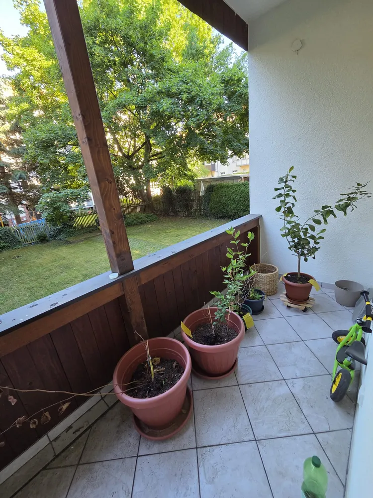 3 Zimmer Wohnung mit 70 m² in Leipzig – Bild 7