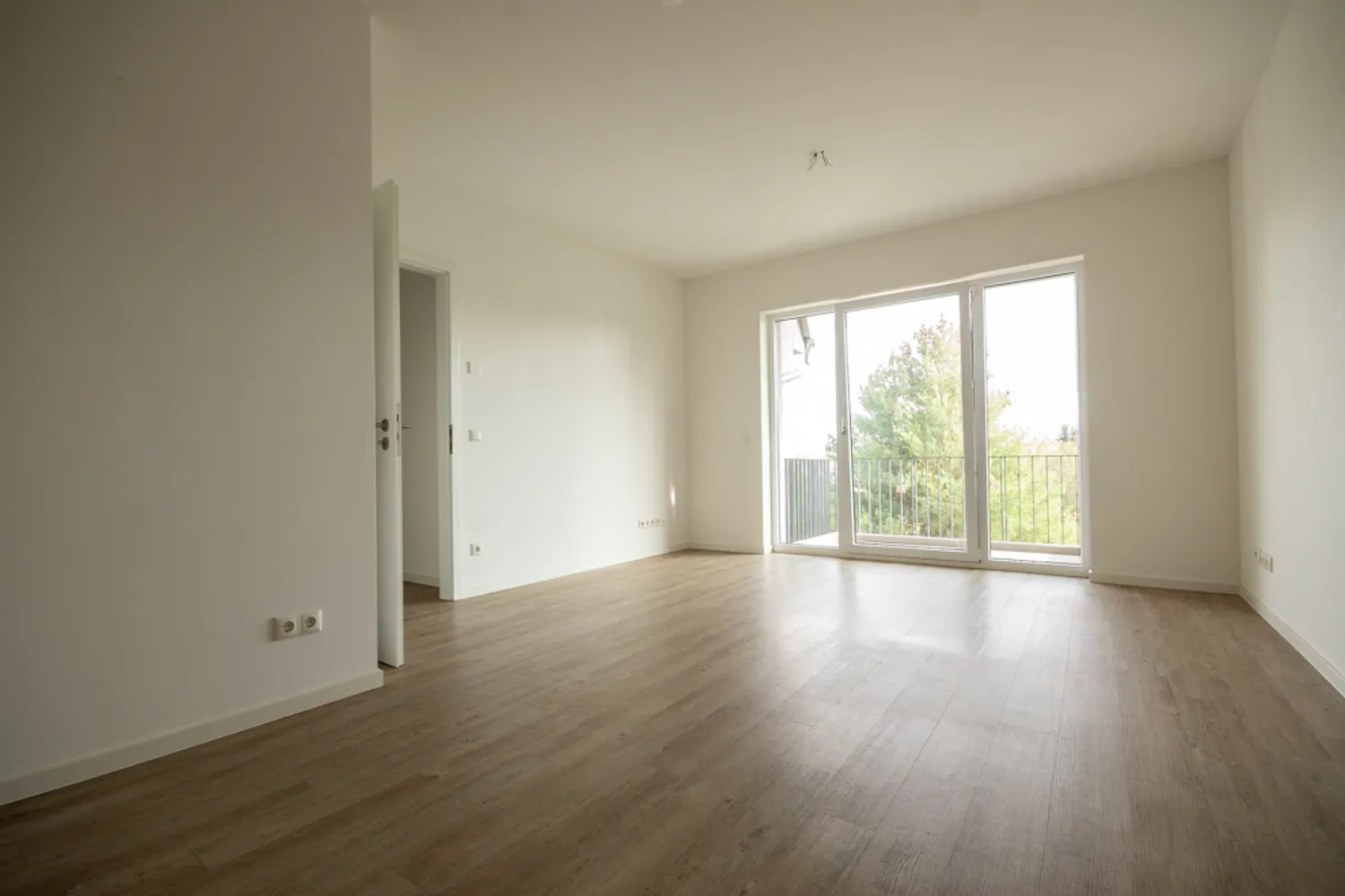 2 room apartment with 56 m² in Dresden – Photo 11