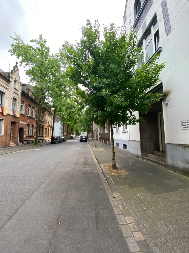 3 Zimmer Wohnung mit 110 m² in Duisburg – Bild 6