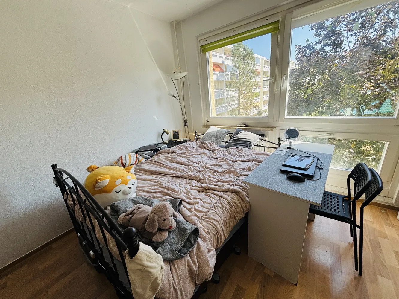 1 Zimmer Wohnung mit 30 m² in Dresden – Bild 4