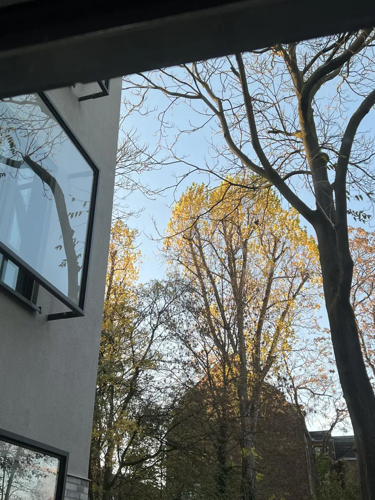 2 Zimmer Wohnung mit 69 m² in Köln – Bild 2