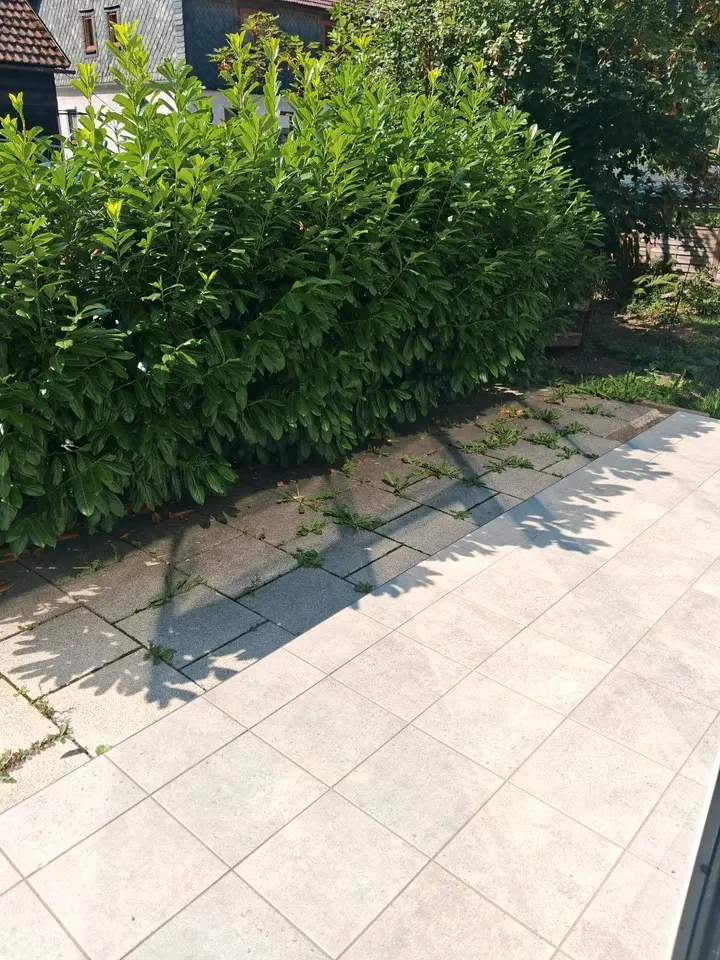 3 Zimmer Wohnung mit 80 m² in Sonneberg – Bild 10