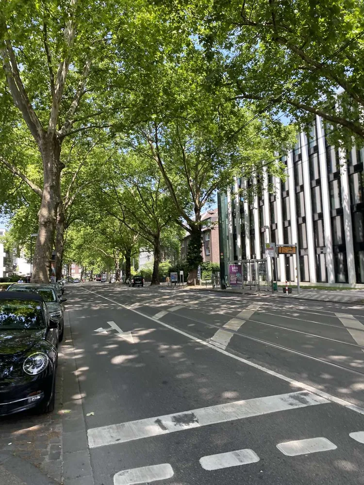 2 Zimmer Wohnung mit 79 m² in Düsseldorf – Bild 8