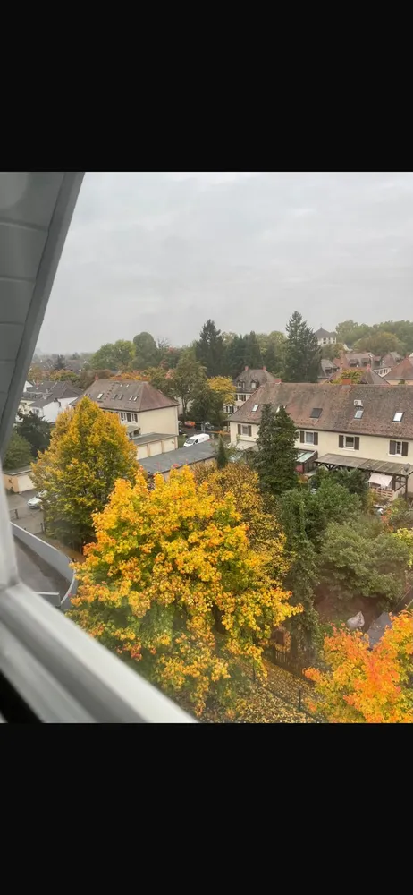 1 Zimmer Wohnung mit 31 m² in Mannheim – Bild 7