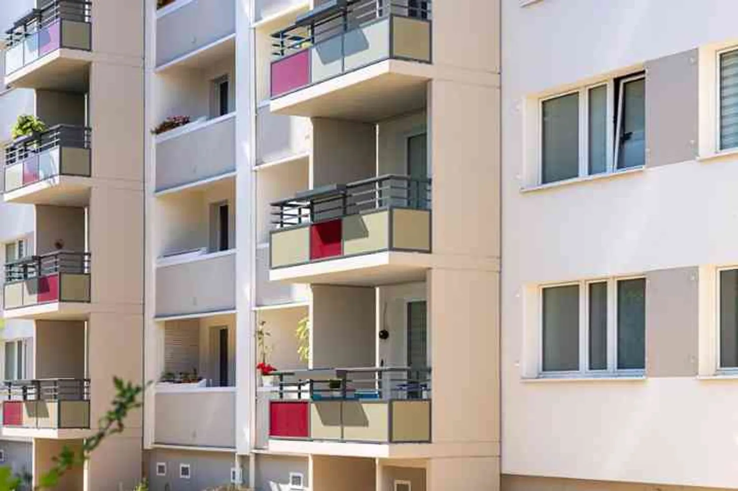 3 Zimmer Wohnung mit 80 m² in Dresden – Bild 5