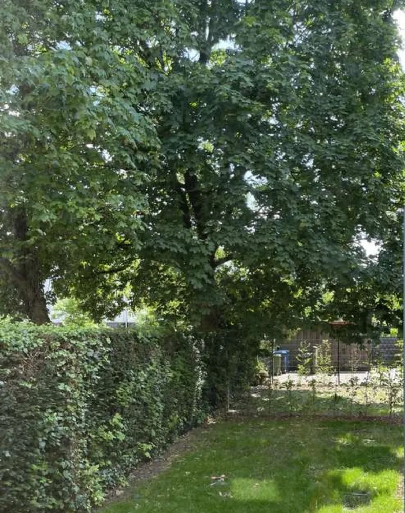 4 Zimmer Wohnung mit 84 m² in Verden (Aller) – Bild 2