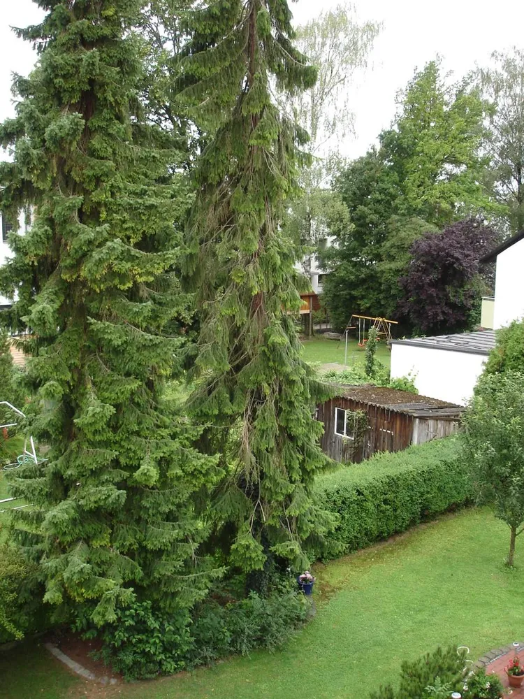 3 Zimmer Wohnung mit 80 m² in Freising – Bild 2