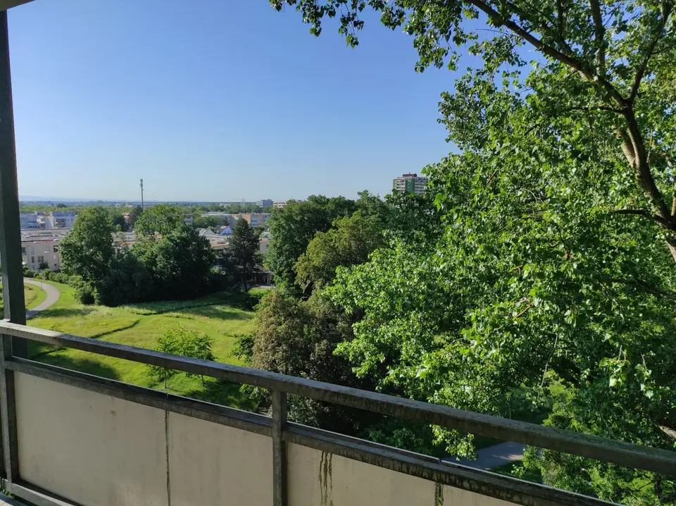 6 Zimmer Haus mit 210 m² in Kehl – Bild 8