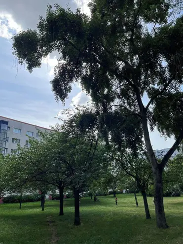 2 Zimmer Wohnung mit 55 m² in Berlin – Bild 6