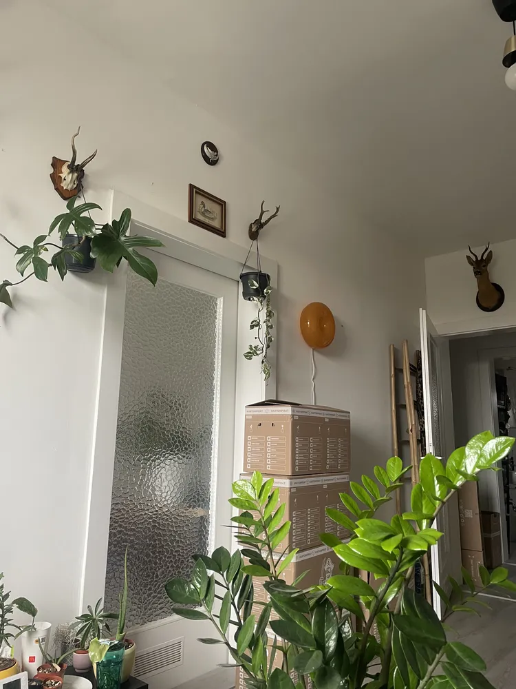 2 Zimmer Wohnung mit 43 m² in Nürnberg – Bild 8