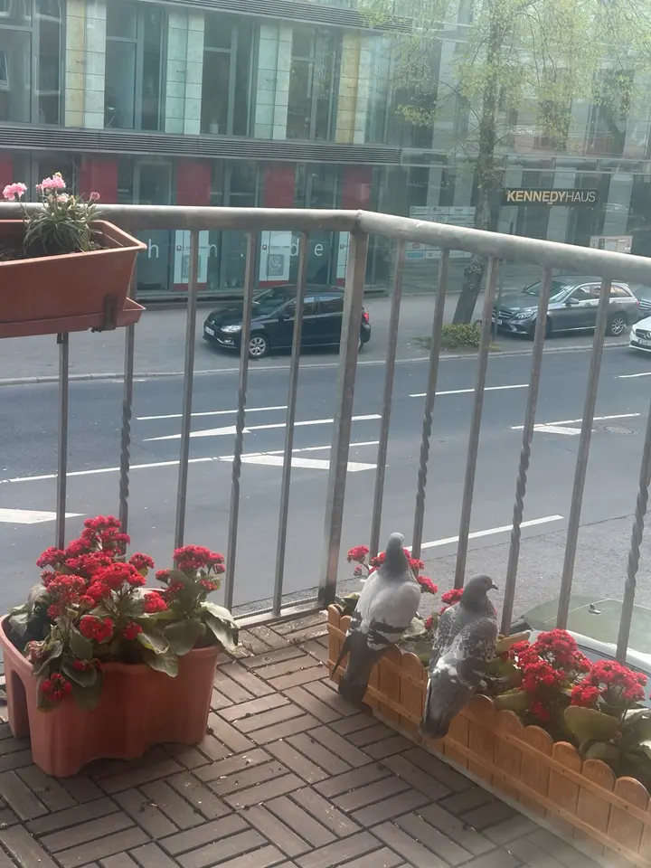 2 Zimmer Wohnung mit 75 m² in Düsseldorf – Bild 10