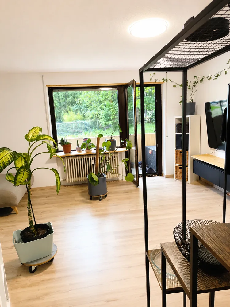 1 Zimmer Wohnung mit 38 m² in Frankenthal (Pfalz) – Bild 1