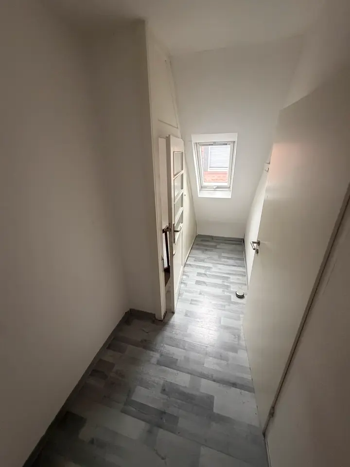 WG-Zimmer mit 100 m² in Rüsselsheim am Main – Bild 3