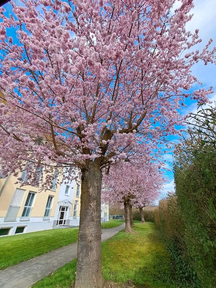3 Zimmer Wohnung mit 80 m² in Deggendorf – Bild 2