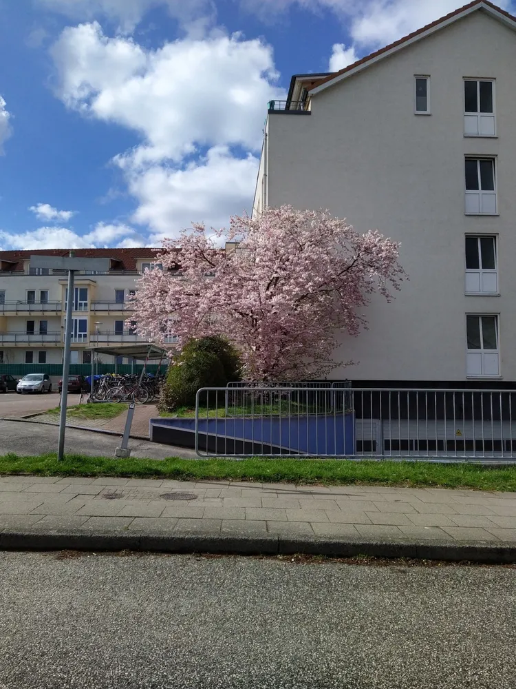 1 room apartment with 28 m² in Lübeck – Photo 5