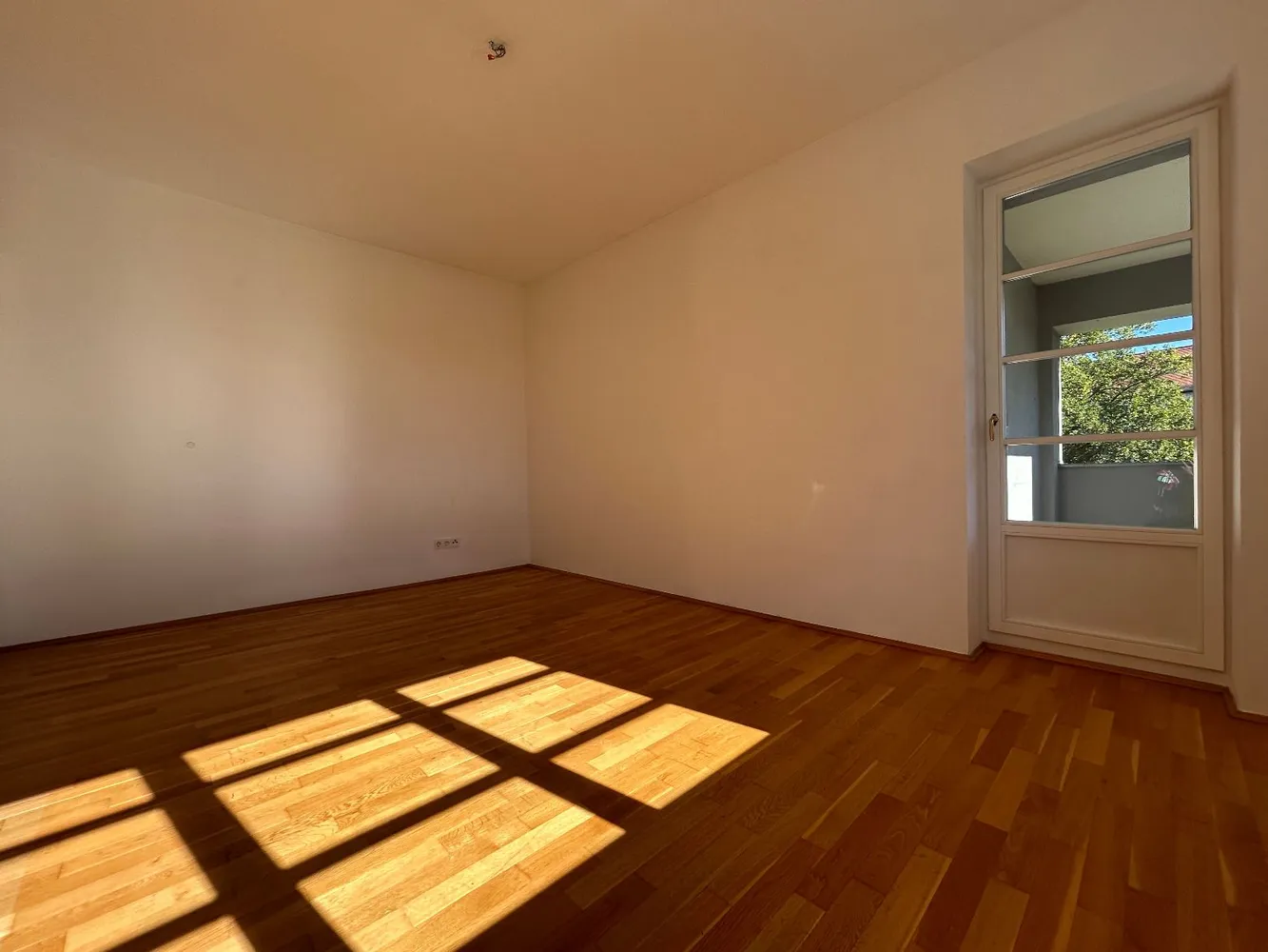 2 room apartment with 57 m² in Dresden – Photo 7