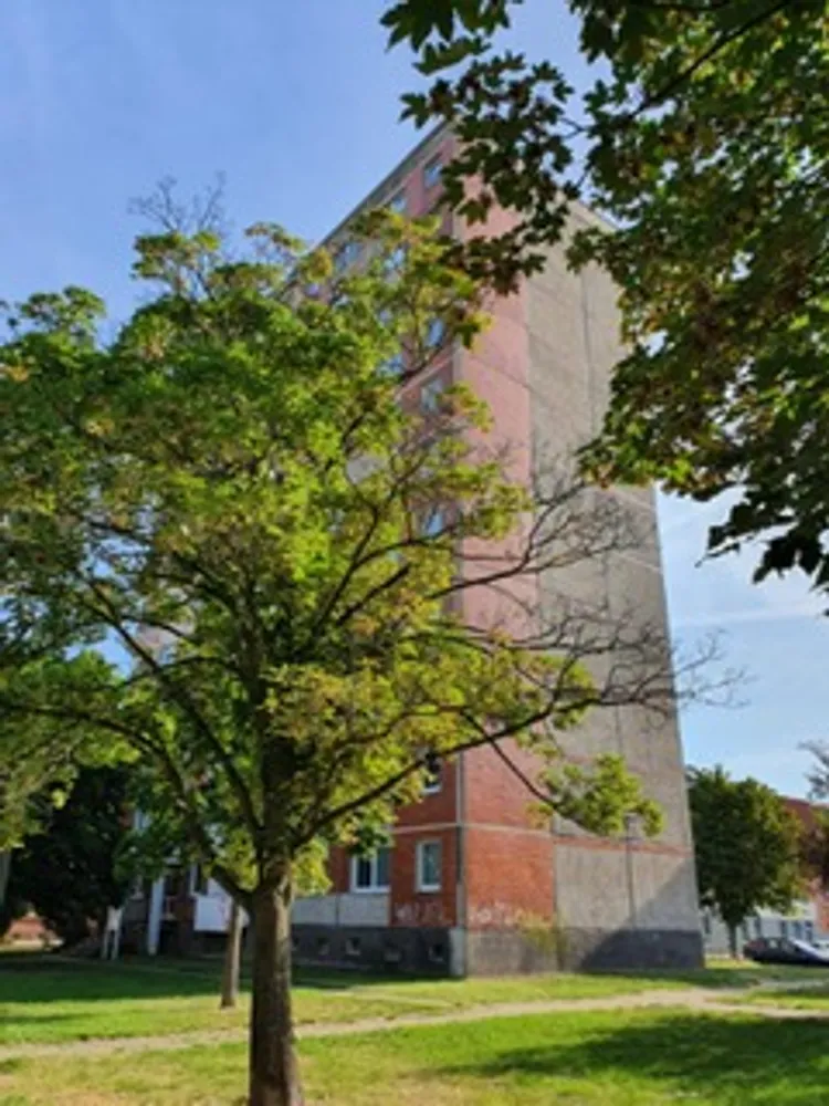 1 Zimmer Wohnung mit 34 m² in Dessau-Roßlau – Bild 2